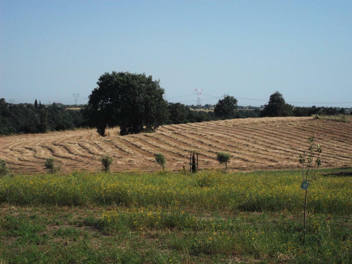 Poderi Di Tragliatella Ngoại thất bức ảnh